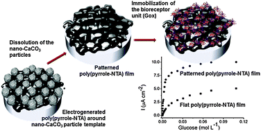 Permeability improvements of electropolymerized polypyrrole films using ...