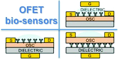 Organic Field Effect Transistor Sensors A Tutorial Review Chemical Society Reviews Rsc Publishing