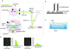 Protein Induced Fluorescence Enhancement Pife For Probing Protein Nucleic Acid Interactions Chemical Society Reviews Rsc Publishing