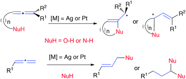 Silver And Platinum Catalysed Addition Of O H And N H Bonds To Allenes Chemical Society Reviews Rsc Publishing