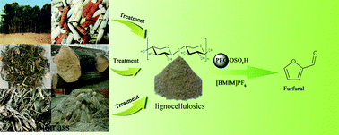 Dehydration of biomass to furfural catalyzed by reusable polymer bound