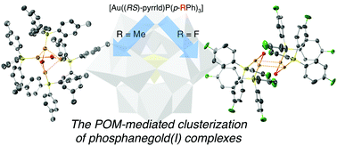 Two Types Of Tetranuclear Phosphanegold I Cations As Dimers Of Dinuclear Units Au P P Rph 3 2 M Oh 2 2 R Me F Synthesized By Polyoxometalate Mediated Clusterization Dalton Transactions Rsc Publishing