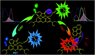 FRET based tri-color emissive rhodamine–pyrene conjugate as an Al3 ...