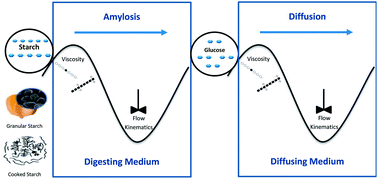 Enzymatic Hydrolysis Of Starch In The Presence Of Cereal Soluble Fibre Polysaccharides Food Function Rsc Publishing