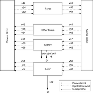 paracetamol depletes glutathione The Science Behind S-Acetyl Glutathione – MakeWell Global main image 0