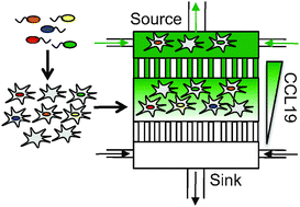 A microfluidic-based genetic screen to identify microbial virulence ...