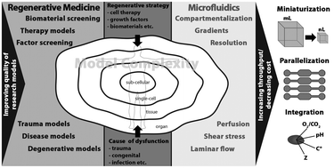 Regenerative Medicine For Cosmetics