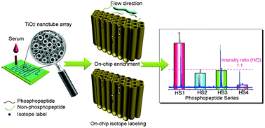 Tailoring of a TiO2 nanotube array-integrated portable microdevice for ...