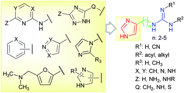 Synthesis Sar And Selectivity Of 2 Acyl And 2 Cyano 1 Hetarylalkyl Guanidines At The Four Histamine Receptor Subtypes A Bioisosteric Approach Medchemcomm Rsc Publishing