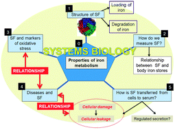 https://pubs.rsc.org/en/Content/Image/GA/C3MT00347G