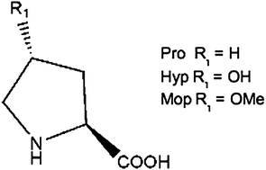 Effect of proline analogues on the conformation of elastin peptides ...