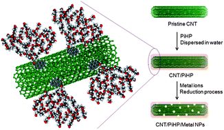 Hyperbranched Polymer Mediated Fabrication Of Water Soluble Carbon Nanotube Metal Nanoparticle Hybrids Nanoscale Rsc Publishing