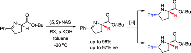 Highly enantioselective synthesis of 5-phenyl-2-alkylprolines using ...