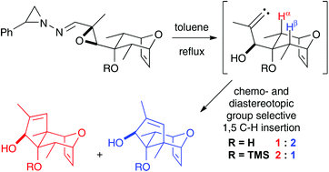 Diastereotopic Group Selectivity And Chemoselectivity Of Alkylidene Carbene Reactions On 8 Oxabicyclo 3 2 1 Oct 6 Ene Ring Systems Organic Biomolecular Chemistry Rsc Publishing