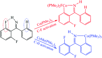 Computational Rationalization Of The Selective C H And C F Activations Of Fluoroaromatic Imines And Ketones By Cobalt Complexes Organic Biomolecular Chemistry Rsc Publishing