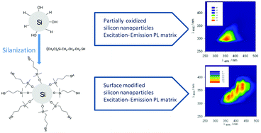 Silanization effect on the photoluminescence characteristics of ...