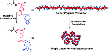 chain polymer single polymerization nanoparticles sequential oxidative atrp via rsc pubs