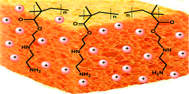 A new proton sponge polymer synthesized by RAFT polymerization for ...
