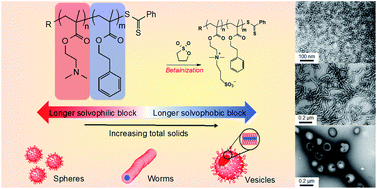 Polymerization-induced self-assembly: ethanolic RAFT dispersion
