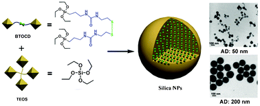 A new strategy to prepare glutathione responsive silica nanoparticles