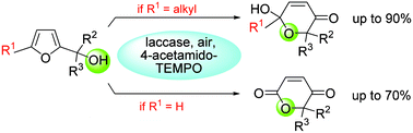 The first enzymatic Achmatowicz reaction: selective laccase-catalyzed ...