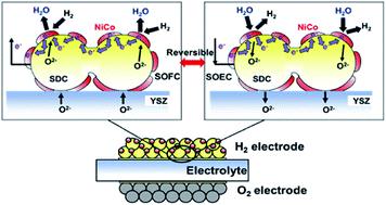 High Performance Electrodes For Reversible Solid Oxide Fuel Cell Solid Oxide Electrolysis Cell Ni Co Dispersed Ceria Hydrogen Electrodes Rsc Advances Rsc Publishing