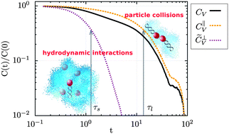 Hydrodynamic Interactions Of Self Propelled Swimmers Soft Matter Rsc Publishing