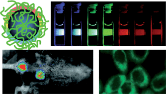 Carbon “quantum” dots for optical bioimaging - Journal of Materials  Chemistry B (RSC Publishing)