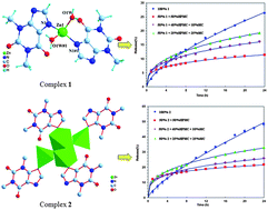 In vitro controlled release of theophylline from metal–drug complexes ...