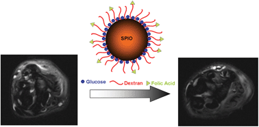 Folic Acid Conjugated Glucose And Dextran Coated Iron Oxide Nanoparticles As Mri Contrast Agents For Diagnosis And Treatment Response Of Rheumatoid Arthritis Journal Of Materials Chemistry B Rsc Publishing