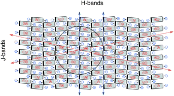 Structure Vs Properties Chirality Optics And Shapes In Amphiphilic Porphyrin J Aggregates Journal Of Materials Chemistry C Rsc Publishing