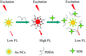 A fluorescent sensor to detect sodium dodecyl sulfate based on the  glutathione-stabilized gold nanoclusters/poly diallyldimethylammonium  chloride system - Analyst (RSC Publishing)