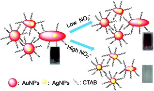 A colorimetric nitrite detection system with excellent selectivity and ...