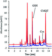 glutathione hplc Glutathione Detection [UPLC] main image 0