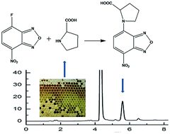 Fluorometric determination of proline in honey by high-performance ...