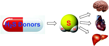 Hydrogen sulfide (H2S) releasing agents: chemistry and biological applications - Chemical Communications (RSC Publishing)