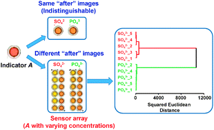 An array sensor consisting of a single indicator with multiple ...