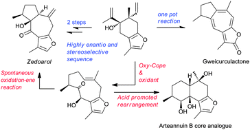 Divergent pathways to furosesquiterpenes: first total syntheses of ...