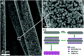 Immobilization Of Biox X Cl Br On Activated Carbon Fibers As Recycled Photocatalysts Dalton Transactions Rsc Publishing