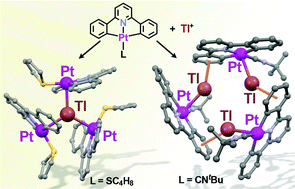 Preparation Of Pt Tl Clusters Showing New Geometries X Ray Nmr And Luminescence Studies Dalton Transactions Rsc Publishing