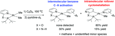 Hemilability Of P X N Type Ligands X O N H Rollover Cyclometalation And Benzene C H Activation From P X N Ptme2 Complexes Dalton Transactions Rsc Publishing