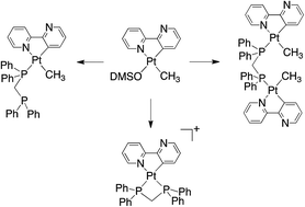 Assembly Of Symmetrical And Unsymmetrical Platinum Ii Rollover Complexes With Bidentate Phosphine Ligands Dalton Transactions Rsc Publishing