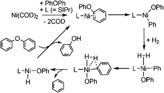 Mechanism Of Ni N Heterocyclic Carbene Catalyst For C O Bond Hydrogenolysis Of Diphenyl Ether A Density Functional Study Dalton Transactions Rsc Publishing