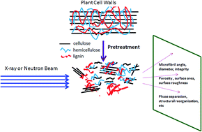 Pretreatment Of Lignocellulosic Biomass - Theory Practice And Prospects Of X Ray And Neutron Scattering For Lignocellulosic Biomass Characterization Towards Understanding Biomass Pretreatment Energy Environmental Science Rsc Publishing