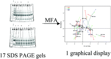 Effects Of Dry Heating On The Progression Of In Vitro Digestion Of Egg White Proteins Contribution Of Multifactorial Data Analysis Food Function Rsc Publishing