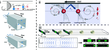 Inertial microfluidic physics - Lab on a Chip (RSC Publishing)