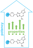 Specific chemical changes leading to consistent potency increases in  structurally diverse active compounds - MedChemComm (RSC Publishing)