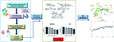 Discovery of novel sphingosine kinase 1 inhibitorsvia structure-based ...