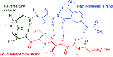 Synthesis And Conformational Studies Of A Stable Peptidomimetic B Hairpin Based On A Bifunctional Diketopiperazine Turn Inducer New Journal Of Chemistry Rsc Publishing