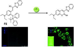 A highly selective turn-on fluorescent sensor for fluoride and its ...
